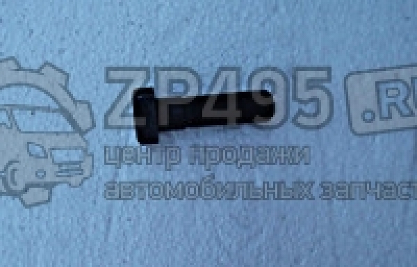 : 6501404 0014649     /   31105 . (, ,,,,, , NEXT, NEXT) habarovsk.zp495.ru